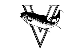 V trademark