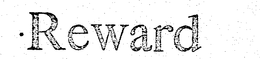 REWARD trademark