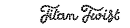 TITAN TWIST trademark