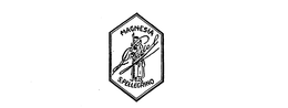 MAGNESIA S. PELLEGRINO trademark