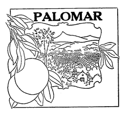 PALOMAR trademark