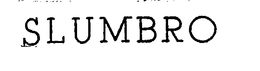 SLUNBRO trademark