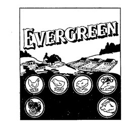 EVERGREEN trademark