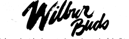 WILBUR BUDS trademark
