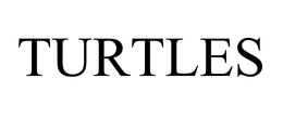 TURTLES trademark