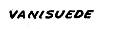 VANISUEDE trademark