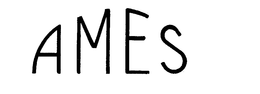 AMES trademark
