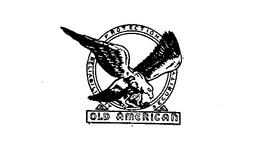 OLD AMERICAN RELIABILITY PROTECTION SECURITY trademark
