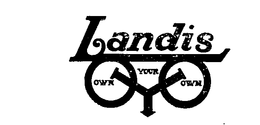 LANDIS OWN YOUR OWN trademark