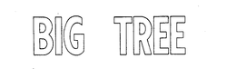 BIG TREE trademark