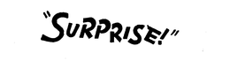 SURPRISE trademark