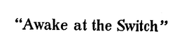 "AWAKE AT THE SWITCH" trademark