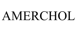AMERCHOL trademark