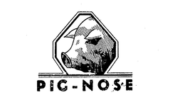 PIG-NOSE trademark