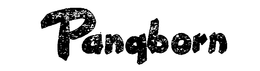 PANGBORN trademark