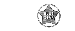 BLUE STAR trademark