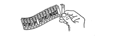 STRIP SPRINGS trademark