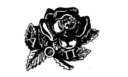 AO trademark