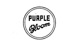 PURPLE BLOOM trademark
