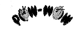 POW-WOW trademark