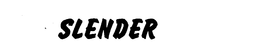 SLENDER trademark