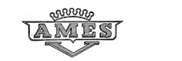AMES trademark