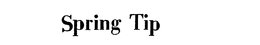 SPRING TIP trademark