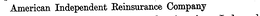 "AMERICAN PROTECTION" trademark
