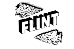 FLINT trademark
