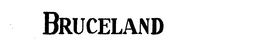 BRUCELAND trademark