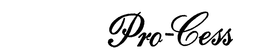 PRO-CESS trademark