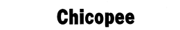 CHICOPEE trademark