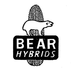 BEAR HYBRIDS trademark