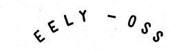 EELY-OSS trademark
