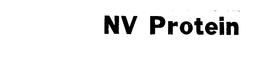 NV PROTEIN trademark
