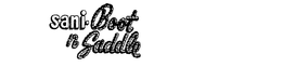 SANI-BOOT N SADDLE trademark