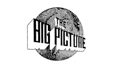 THE BIG PICTURE trademark