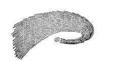 COMET trademark