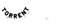 TORRENT trademark