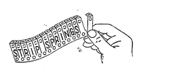 STRIP SPRINGS trademark