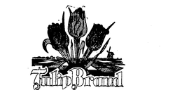 TULIP BRAND trademark