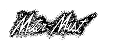 "METER-MIST" trademark