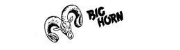 BIG HORN trademark