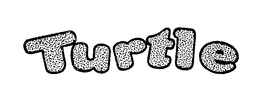TURTLE trademark