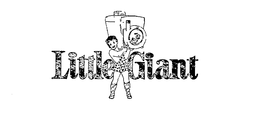 LITTLE GIANT trademark
