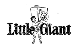 LITTLE GIANT trademark