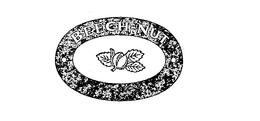 BEECH-NUT trademark