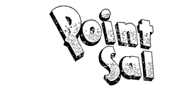 POINT SAL trademark