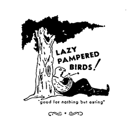 LAZY PAMPERED BIRDS! GOOD FOR NOTHING BUT EATING trademark