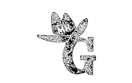 MR G trademark
